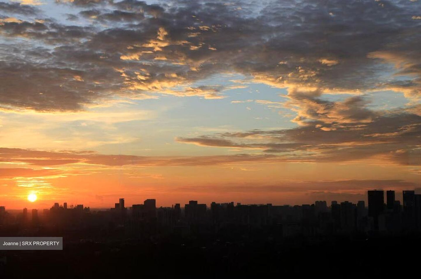 D'Leedon (D10), Condominium #464341221